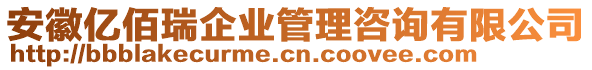 安徽億佰瑞企業(yè)管理咨詢有限公司