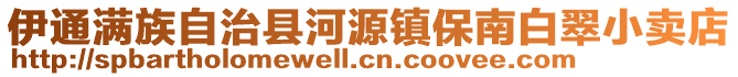 伊通满族自治县河源镇保南白翠小卖店