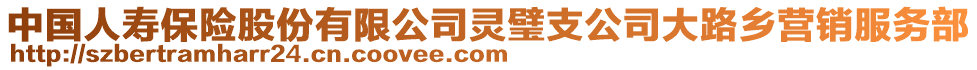 中國(guó)人壽保險(xiǎn)股份有限公司靈璧支公司大路鄉(xiāng)營(yíng)銷服務(wù)部