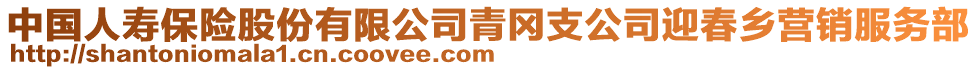 中國人壽保險股份有限公司青岡支公司迎春鄉(xiāng)營銷服務(wù)部