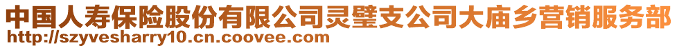 中國人壽保險股份有限公司靈璧支公司大廟鄉(xiāng)營銷服務(wù)部