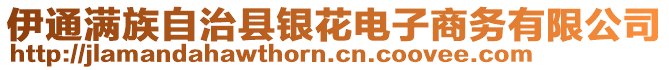 伊通滿族自治縣銀花電子商務(wù)有限公司