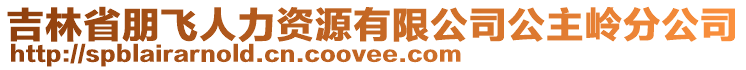 吉林省朋飞人力资源有限公司公主岭分公司