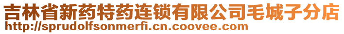 吉林省新药特药连锁有限公司毛城子分店