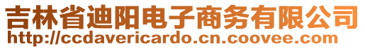 吉林省迪陽電子商務(wù)有限公司