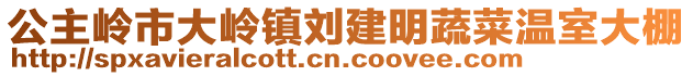 公主嶺市大嶺鎮(zhèn)劉建明蔬菜溫室大棚