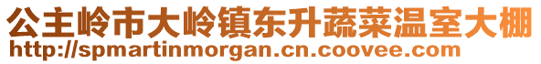 公主嶺市大嶺鎮(zhèn)東升蔬菜溫室大棚