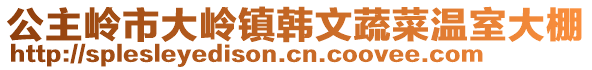 公主嶺市大嶺鎮(zhèn)韓文蔬菜溫室大棚