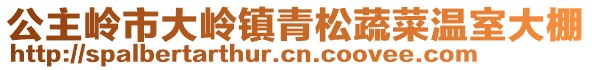 公主嶺市大嶺鎮(zhèn)青松蔬菜溫室大棚