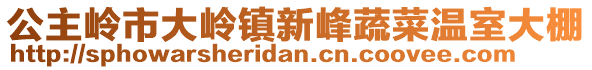 公主嶺市大嶺鎮(zhèn)新峰蔬菜溫室大棚