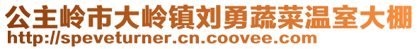 公主嶺市大嶺鎮(zhèn)劉勇蔬菜溫室大棚