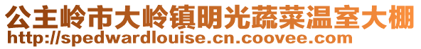 公主嶺市大嶺鎮(zhèn)明光蔬菜溫室大棚