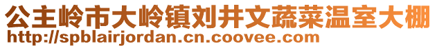 公主嶺市大嶺鎮(zhèn)劉井文蔬菜溫室大棚