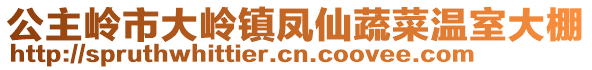 公主嶺市大嶺鎮(zhèn)鳳仙蔬菜溫室大棚