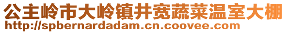 公主嶺市大嶺鎮(zhèn)井寬蔬菜溫室大棚