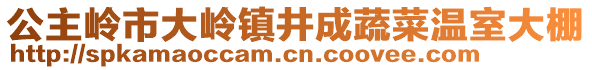 公主嶺市大嶺鎮(zhèn)井成蔬菜溫室大棚