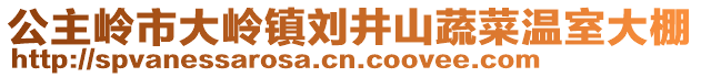 公主嶺市大嶺鎮(zhèn)劉井山蔬菜溫室大棚