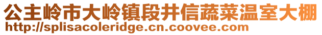 公主嶺市大嶺鎮(zhèn)段井信蔬菜溫室大棚