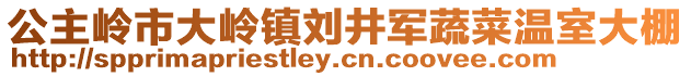 公主嶺市大嶺鎮(zhèn)劉井軍蔬菜溫室大棚