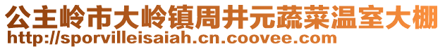 公主嶺市大嶺鎮(zhèn)周井元蔬菜溫室大棚