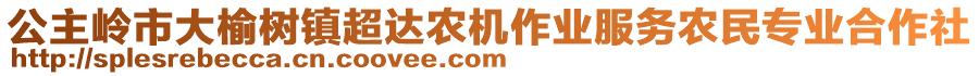 公主嶺市大榆樹鎮(zhèn)超達農(nóng)機作業(yè)服務農(nóng)民專業(yè)合作社