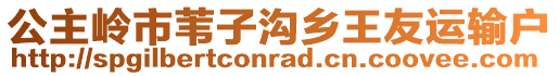 公主嶺市葦子溝鄉王友運輸戶