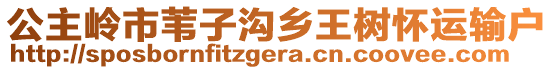 公主嶺市葦子溝鄉(xiāng)王樹懷運輸戶