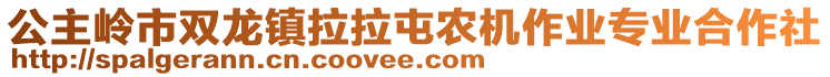 公主嶺市雙龍鎮(zhèn)拉拉屯農(nóng)機作業(yè)專業(yè)合作社