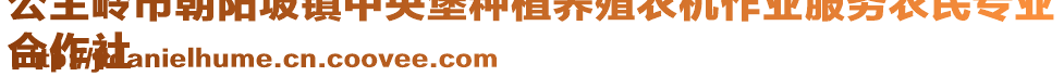公主嶺市朝陽坡鎮中央堡種植養殖農機作業服務農民專業
合作社