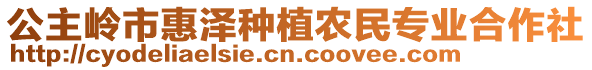 公主嶺市惠澤種植農民專業合作社