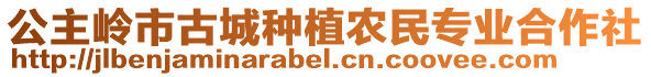 公主嶺市古城種植農(nóng)民專業(yè)合作社
