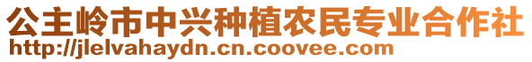 公主嶺市中興種植農民專業合作社