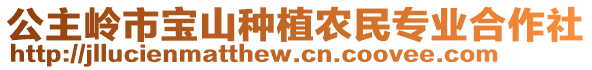 公主嶺市寶山種植農民專業合作社