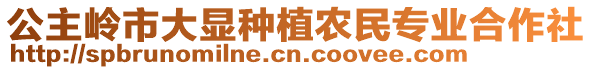 公主嶺市大顯種植農民專業合作社