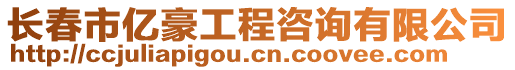 長春市億豪工程咨詢有限公司