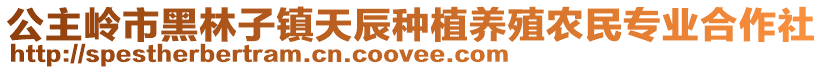 公主嶺市黑林子鎮(zhèn)天辰種植養(yǎng)殖農(nóng)民專業(yè)合作社