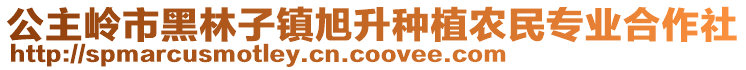 公主嶺市黑林子鎮(zhèn)旭升種植農(nóng)民專業(yè)合作社