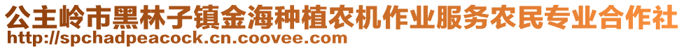 公主嶺市黑林子鎮(zhèn)金海種植農(nóng)機(jī)作業(yè)服務(wù)農(nóng)民專業(yè)合作社