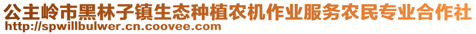 公主嶺市黑林子鎮(zhèn)生態(tài)種植農(nóng)機作業(yè)服務農(nóng)民專業(yè)合作社