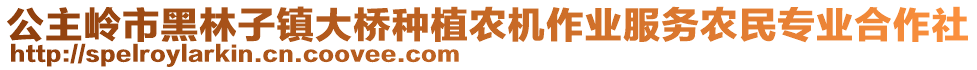 公主嶺市黑林子鎮(zhèn)大橋種植農(nóng)機作業(yè)服務(wù)農(nóng)民專業(yè)合作社