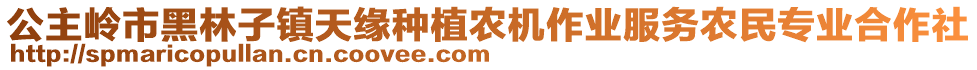 公主嶺市黑林子鎮(zhèn)天緣種植農(nóng)機作業(yè)服務農(nóng)民專業(yè)合作社