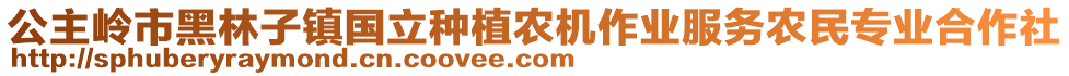 公主嶺市黑林子鎮(zhèn)國(guó)立種植農(nóng)機(jī)作業(yè)服務(wù)農(nóng)民專業(yè)合作社