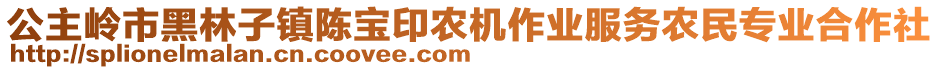 公主嶺市黑林子鎮(zhèn)陳寶印農(nóng)機(jī)作業(yè)服務(wù)農(nóng)民專業(yè)合作社