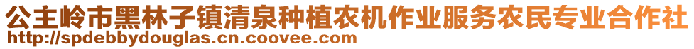 公主嶺市黑林子鎮(zhèn)清泉種植農(nóng)機(jī)作業(yè)服務(wù)農(nóng)民專業(yè)合作社