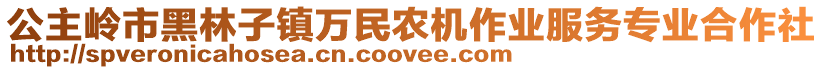 公主嶺市黑林子鎮(zhèn)萬民農(nóng)機作業(yè)服務專業(yè)合作社