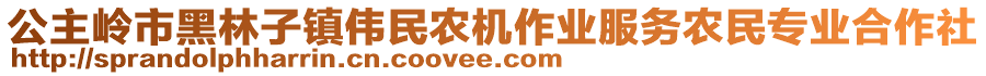 公主嶺市黑林子鎮(zhèn)偉民農(nóng)機(jī)作業(yè)服務(wù)農(nóng)民專業(yè)合作社