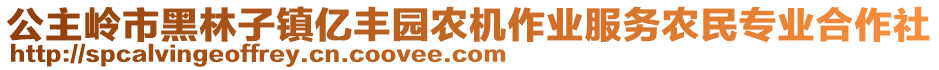 公主嶺市黑林子鎮(zhèn)億豐園農(nóng)機作業(yè)服務(wù)農(nóng)民專業(yè)合作社