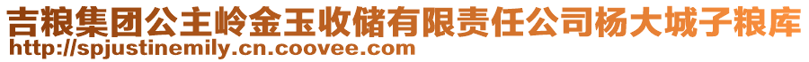 吉糧集團(tuán)公主嶺金玉收儲有限責(zé)任公司楊大城子糧庫