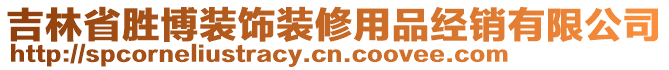 吉林省胜博装饰装修用品经销有限公司