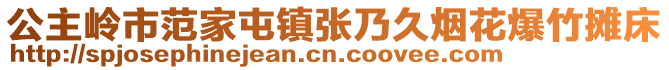 公主嶺市范家屯鎮(zhèn)張乃久煙花爆竹攤床